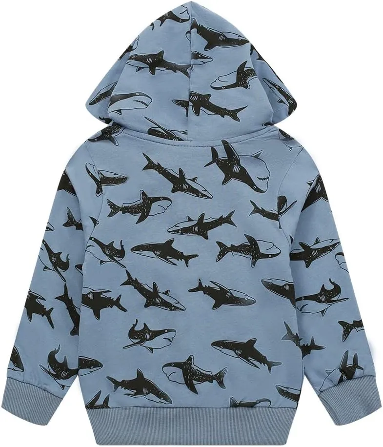 Akyzic Baby Boys Zip Up Hoodie Toddler Boys Jacket Cartoon Winter Long Sleeve Hooded Sweatshirt Tops Fall Coat Kids 2-7 Years