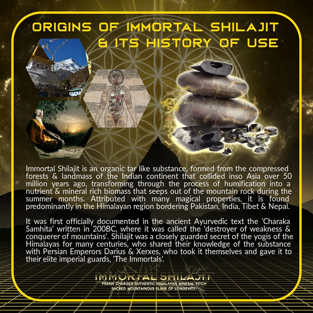 Immortal Shilajit 2.0 Himalayan Mineral Resin