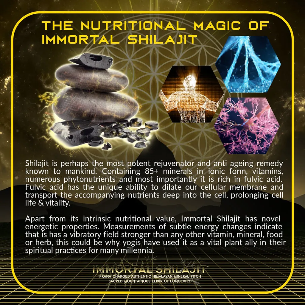 Immortal Shilajit 2.0 Himalayan Mineral Resin